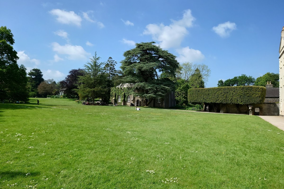 Saltram - Chapel Tea Room Photos 2